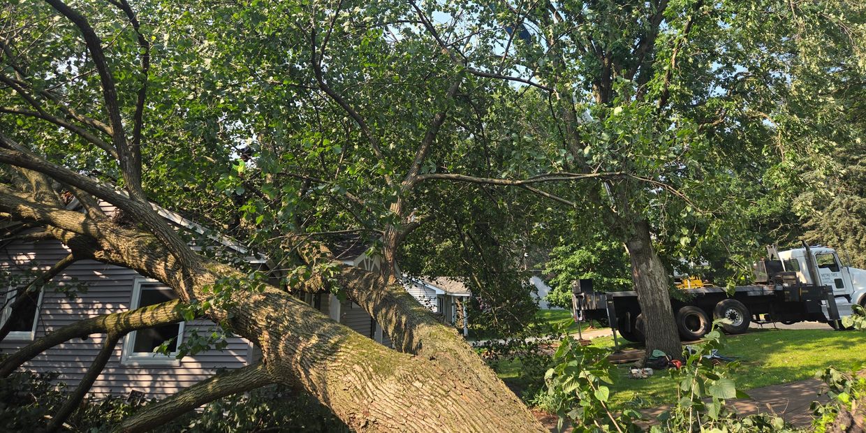 Emergency Tree Service Storm Damage Tree Removal Metro Tree and Crane