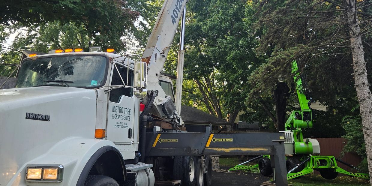 Crane assisted tree removal 