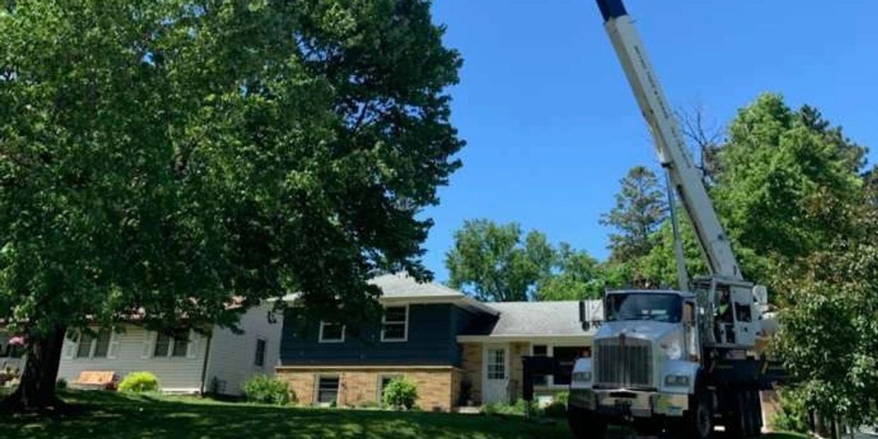 Crane lifting a tall tree near a house on a clear day.