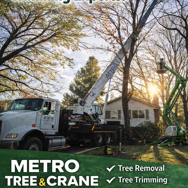 Tree Service Tree Removal Tree Trimming Tree Service Near Me Arborists