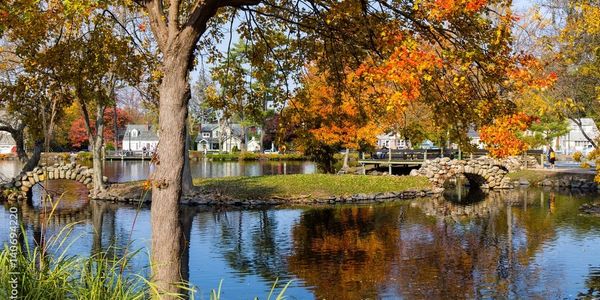 Serene nature scene symbolizing the peaceful journey of healing and spiritual growth at AC Integrati