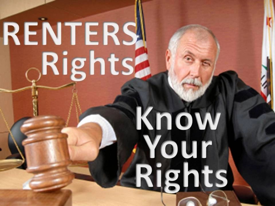 Washington DC Mold Lawyers Washington DC Mold Lawyer Black mold Toxic