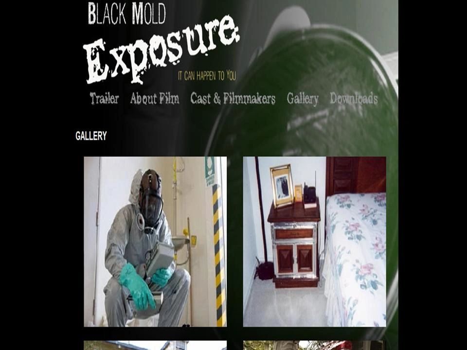 Videos On Mold Black Mold Toxic