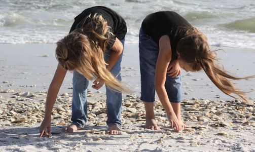 family photos, beach photos