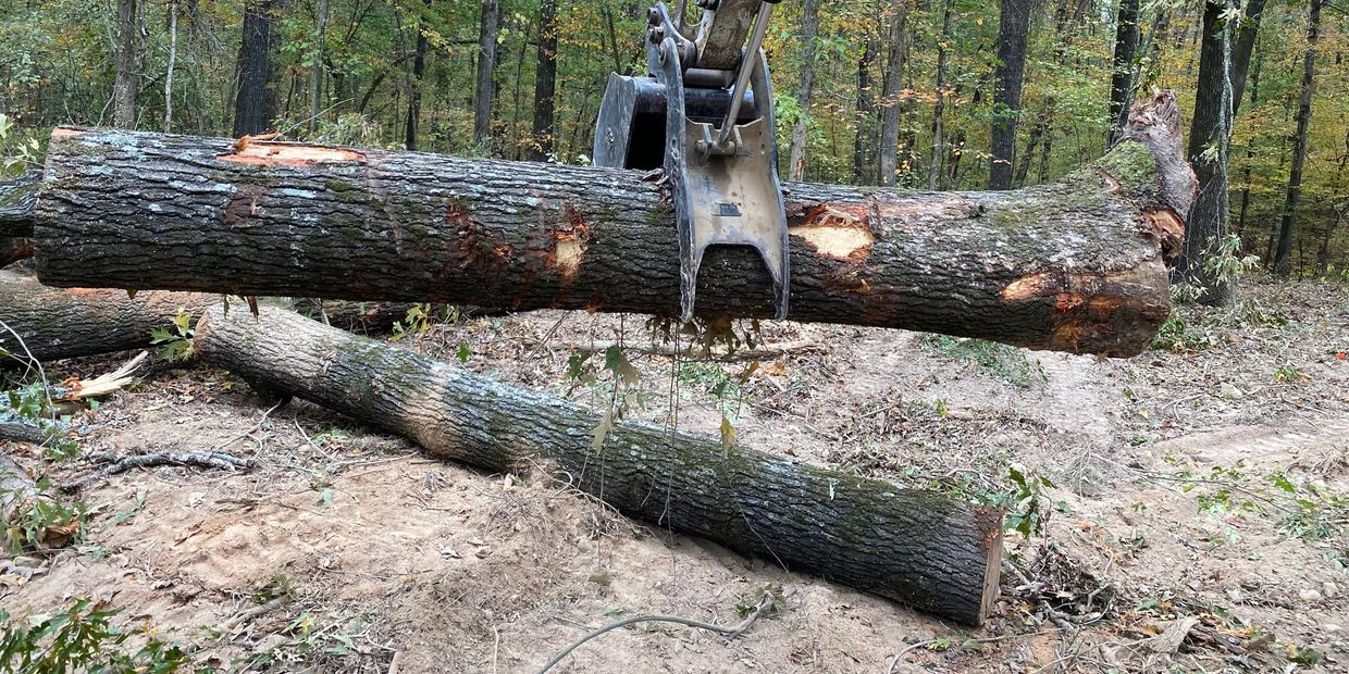 Excavator picking up a tree.