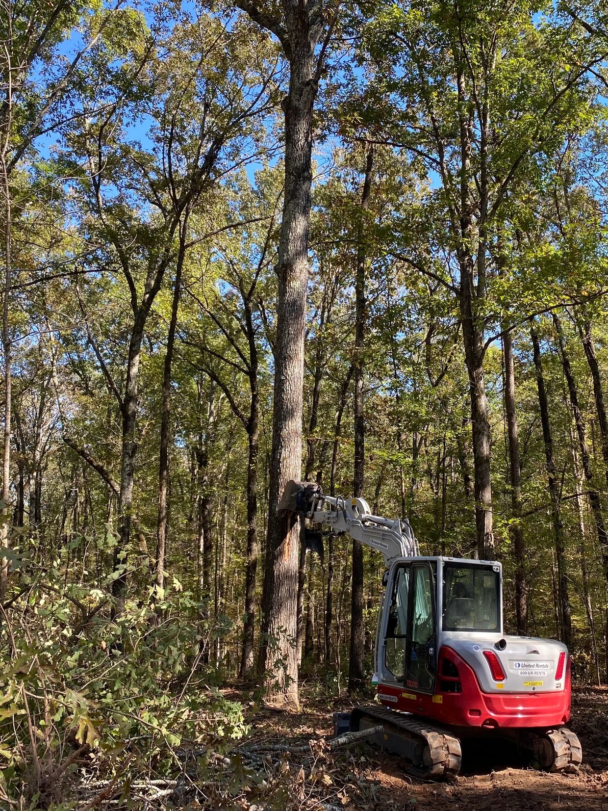 Excavator pushing on tree.