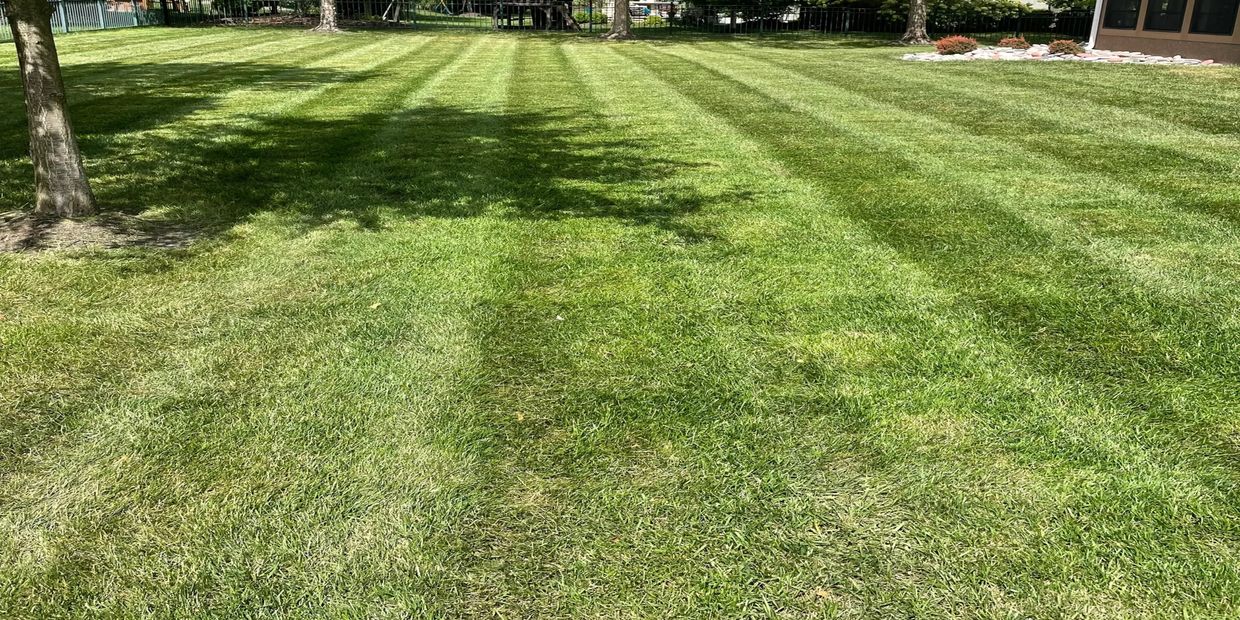 Weekly mowing in Overland Park