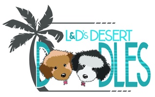 L & D's Desert Doodles