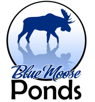 Blue Moose Ponds.com
