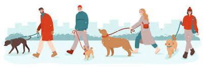 Socializacijski sprehodi
Družabni sprehodi
Socializacija psa
Vzgoja psa