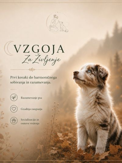 A puppy looking up in a serene autumn setting with dog training text in Slovenian.