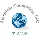 Amenichi Consulting 　”アメニチ”