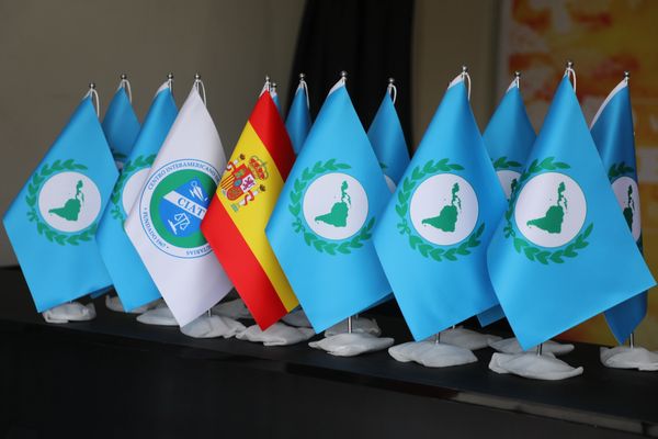 Banderas de escritorio de países o personalizadas con asta y base plateada.
