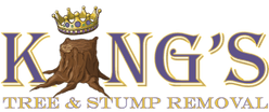 King's Tree and Stump Removal