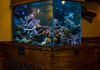Bonefish Macs Coral Springs...320g
