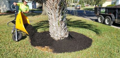 Fresh Mulch makes your landscape POP