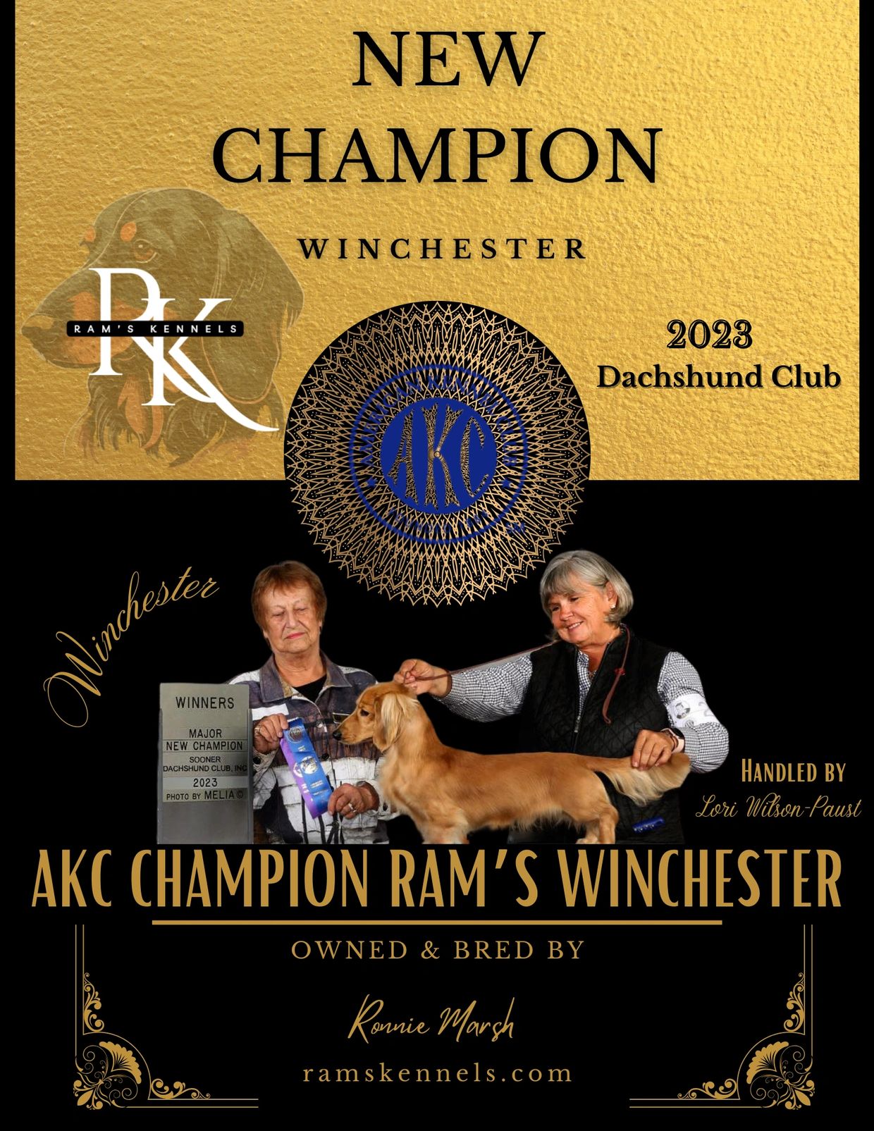Champion Bred Dachshunds