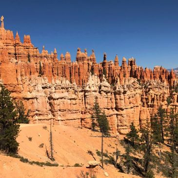 Birding Bryce Canyon National Park, Birding Zions National Park, Utah National Parks Birding Tours