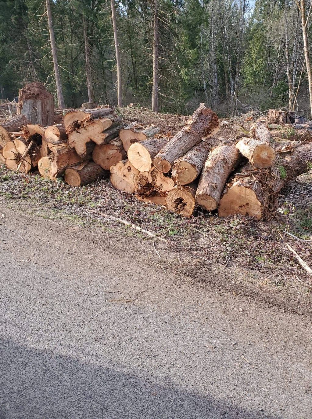 Firewood