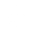 BT Guitars