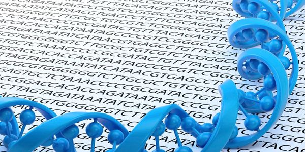 Nutrition and our genes.