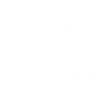 The Wellthy Woman