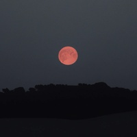 harvestmoon.sg