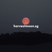 harvestmoon.sg