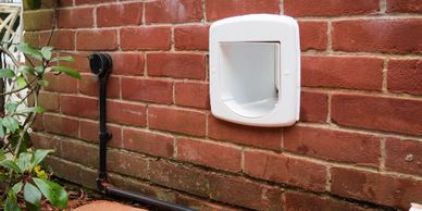 Dog flap in wall on sale