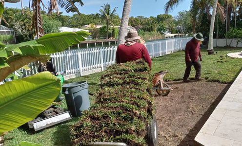 Sod Installation in Miami