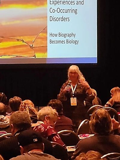 Lynn Borgmann, LPCC, LADC presenting on childhood experiences and co-occurring disorder.