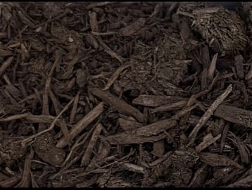 Close-up of dark brown wood mulch in a container.