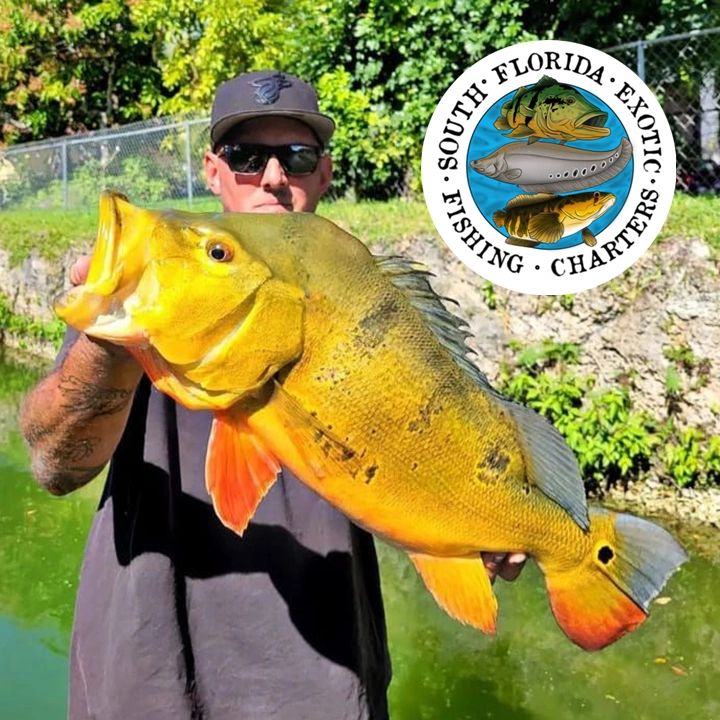 Florida Bass Fishing  Bass Fishing Florida Charters for Trophy Bass