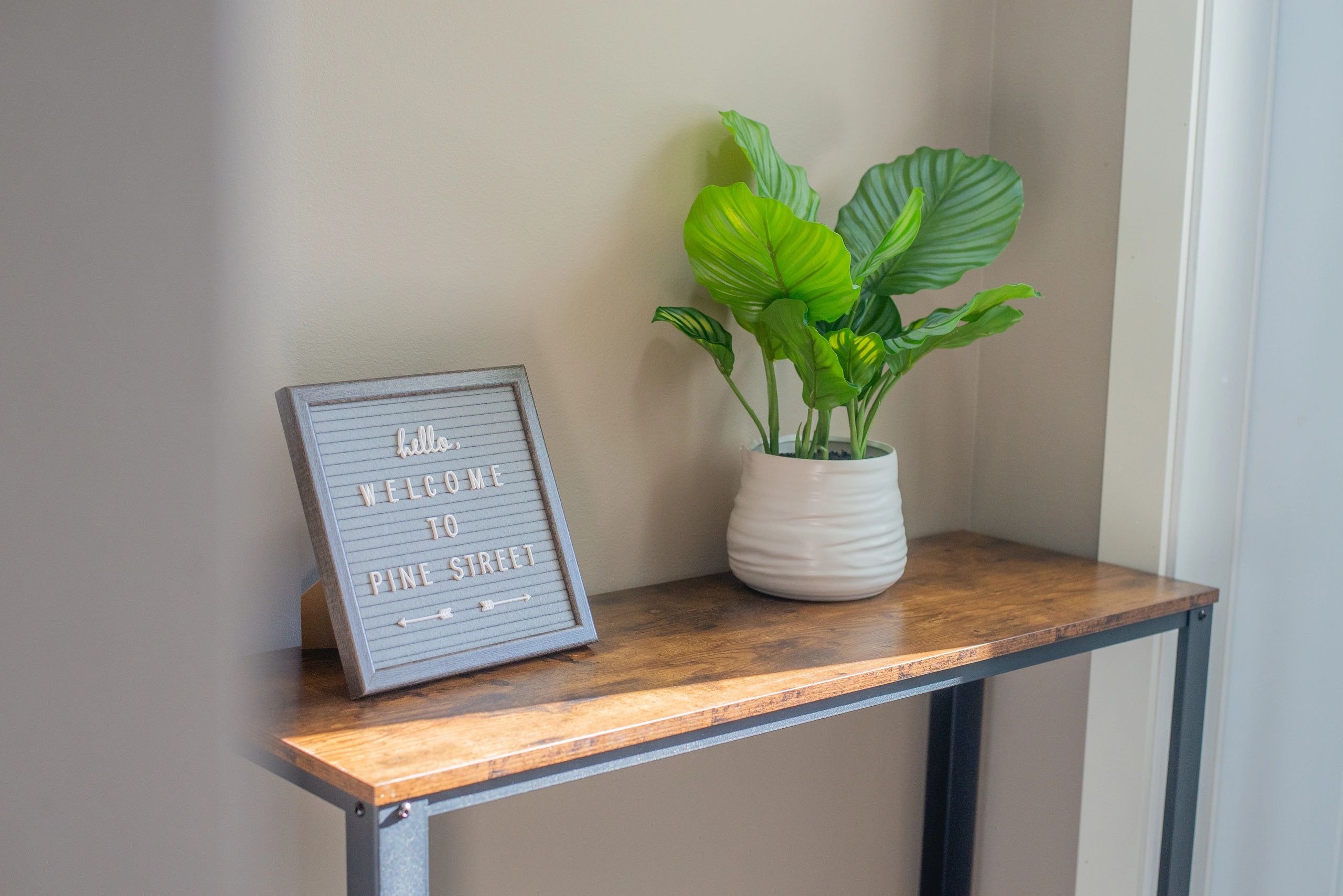 Apartment Rentals Pine Street Apartments