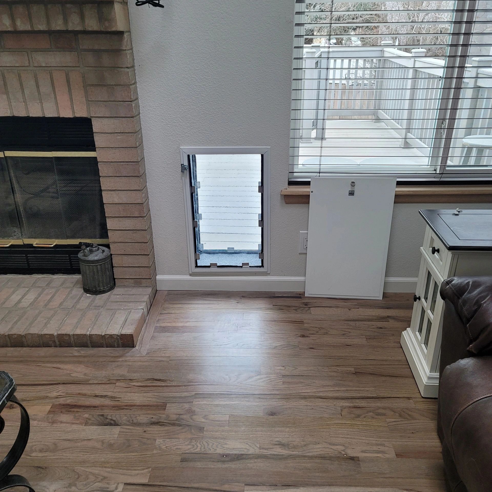 hale pet door installed through a wall