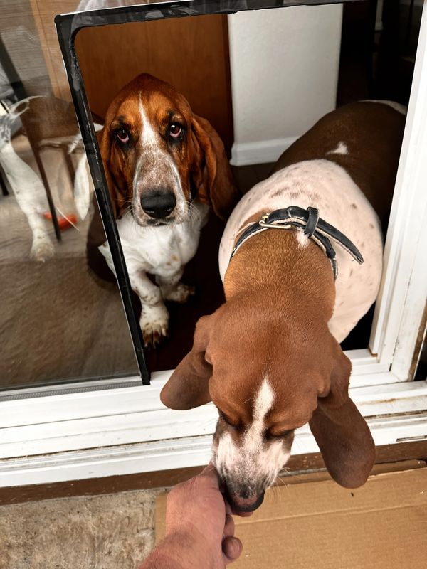 tempered insulated glass unit being installed in Cherry Hills Colorado