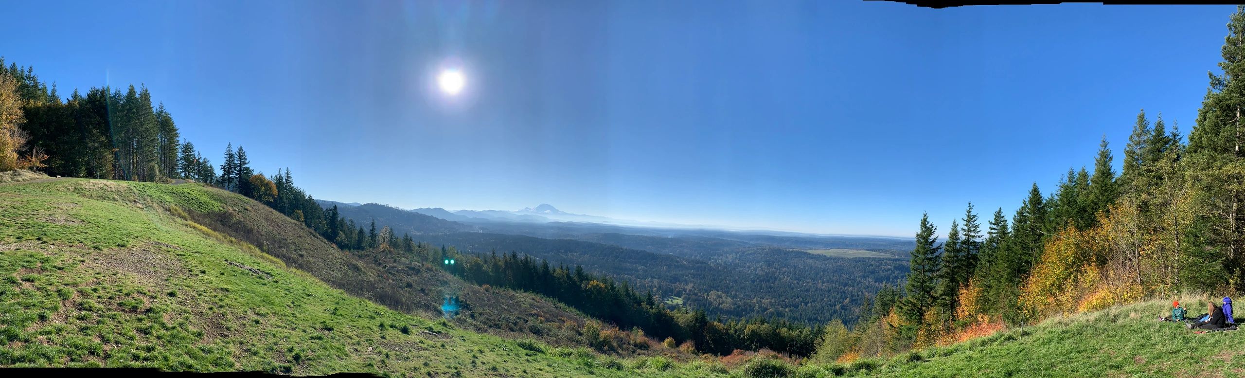 Symbiotica Acupuncture & Chinese Medicine Clinic Home