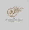 The Synchronicity Space