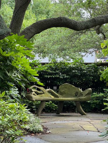 Painted Fern shade garden, zen garden, natural wood bench, live oak shade garden