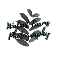 walnutfarmsphotography.com