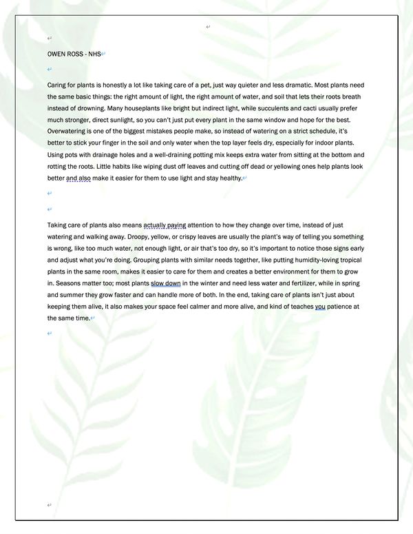Essay from OWEN ROSS!