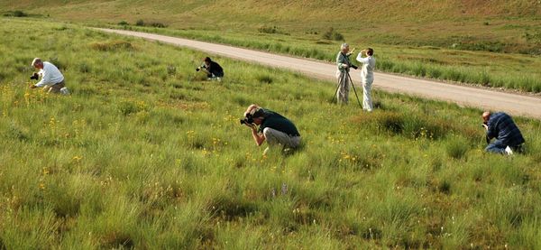 Students photographing in a field.