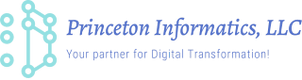Princeton Informatics, LLC