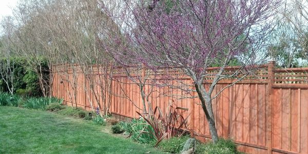 Redwood Fence in San Anselmo, CA.