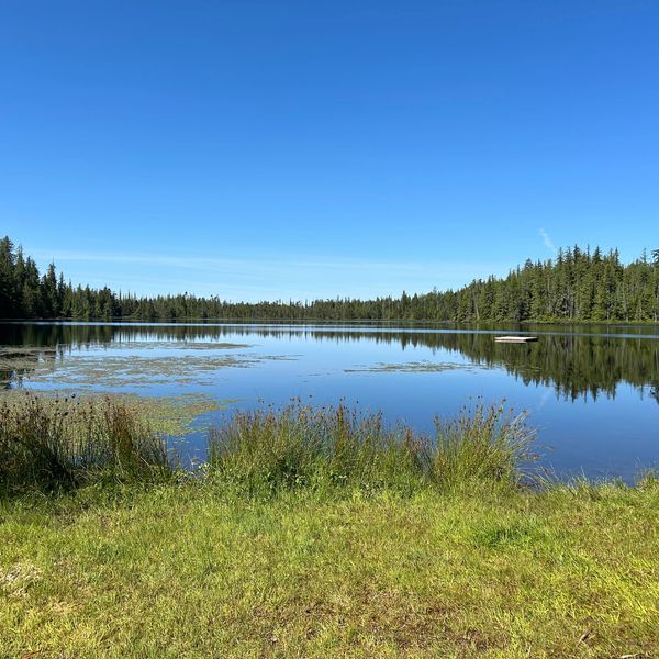 Relax on the calm waters of Beaver Lake.  Surrounded by dense forest, this spot is popular. 10 km 