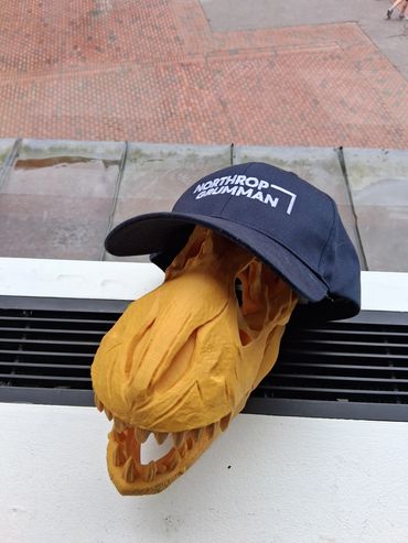 Dinosaur skull wearing a Northrop Grumman cap.