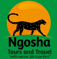 Negosha Tours and Travel