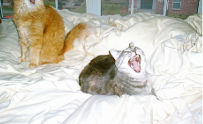 You have got to be kidding?