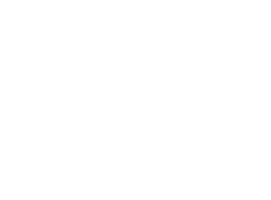Motorama