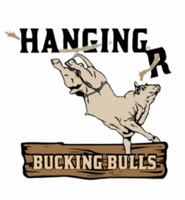 HangingR bucking bulls